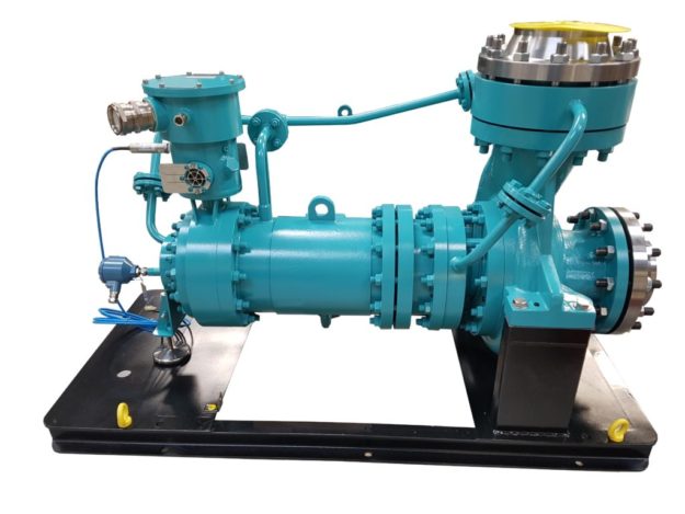 Canned motor pumps with synchronous motor